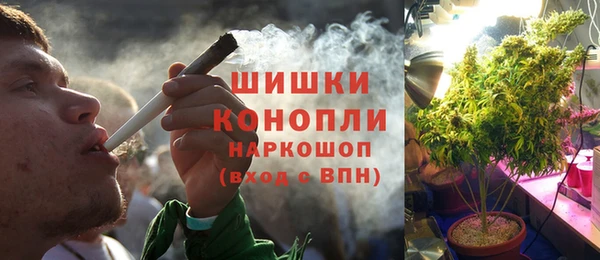 тгк Арсеньев