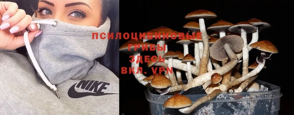 тгк Арсеньев